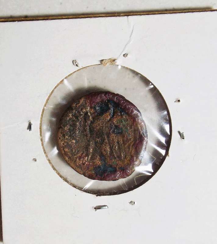 RARE Ancient Roman  Coin ,,,2000 year old coin 180-145 BC Ptolemaic Kingdom Egypt