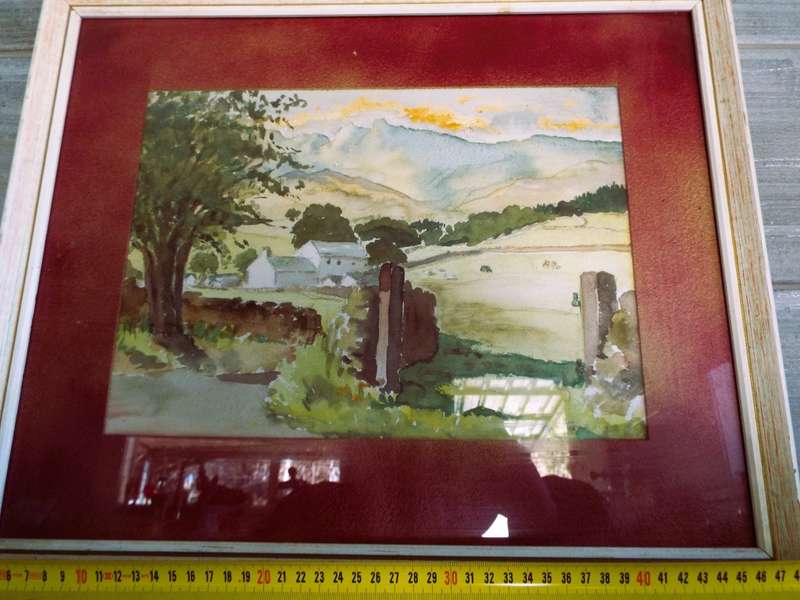 STUNNING!!!  framed art sighed by D Armstrong