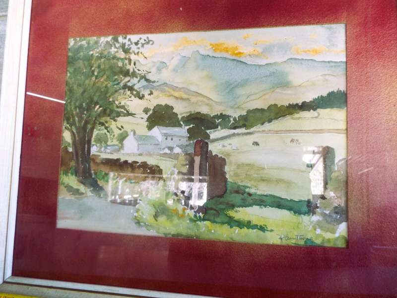 STUNNING!!!  framed art sighed by D Armstrong