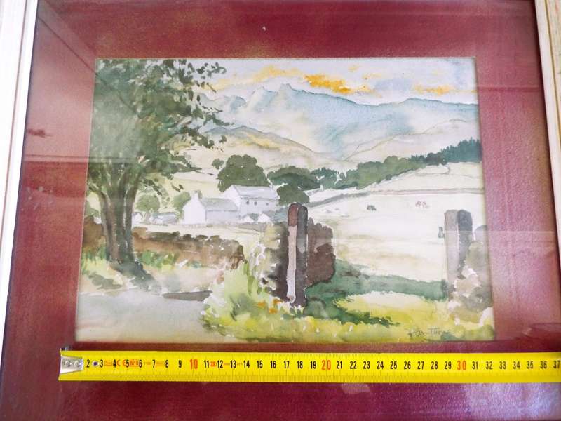 STUNNING!!!  framed art sighed by D Armstrong