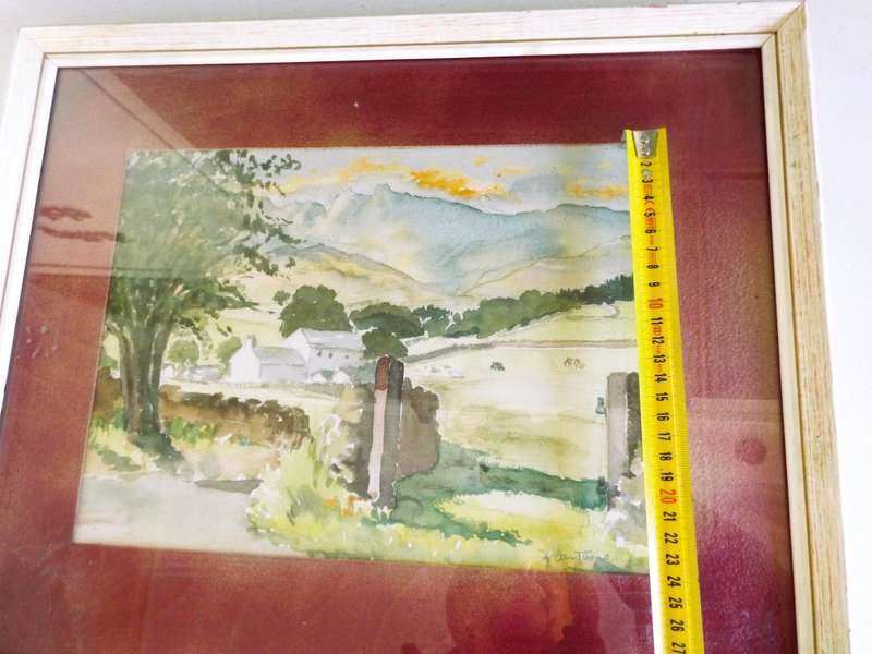 STUNNING!!!  framed art sighed by D Armstrong