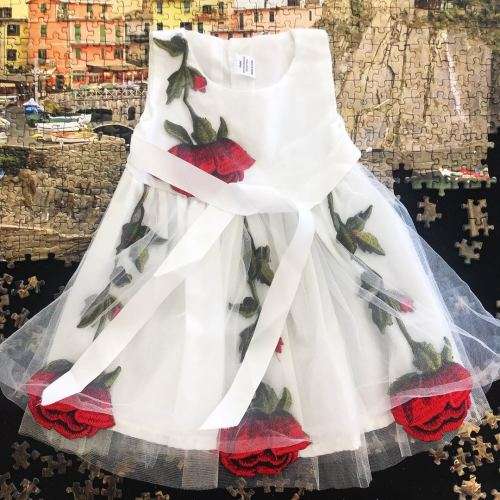 ROSE Embroider Design White Dressing for baby 6-12month