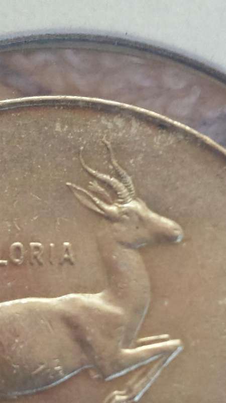 *** 1966 Tag Ear R1 In SAM Box ***