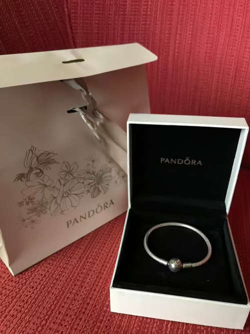 Pandora bracelet (snake chain)