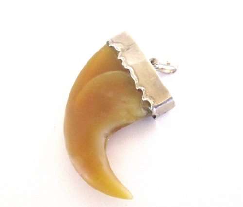 A LIONS CLAW SET IN SILVER