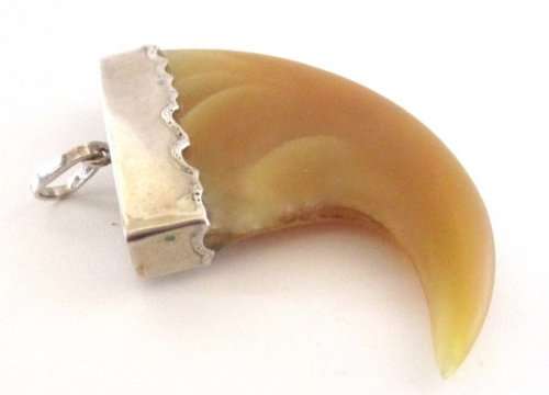A LIONS CLAW SET IN SILVER