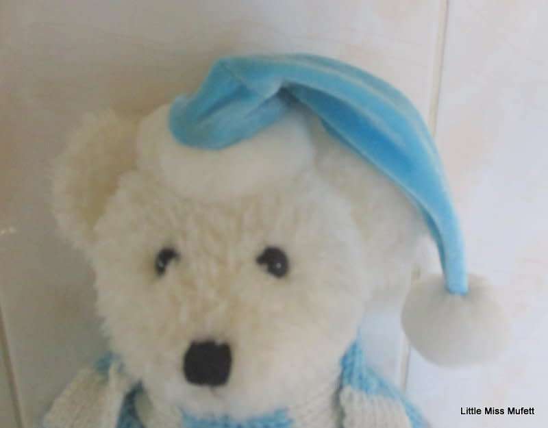 A TEDDY BEAR FROM HOME--EXCELLENT CONDITION