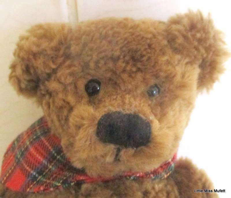 A GERMAN SUNKID TEDDY BEAR--EXCELLENT CONDITION (B)