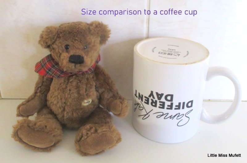 A GERMAN SUNKID TEDDY BEAR--EXCELLENT CONDITION (B)
