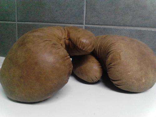 vintage boxing gloves rare rare