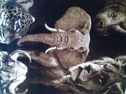 big five colecter carpet