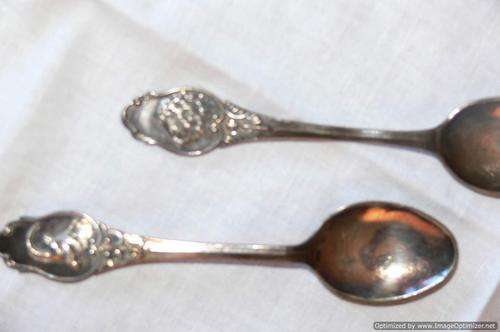 Kruger Park silver spoons