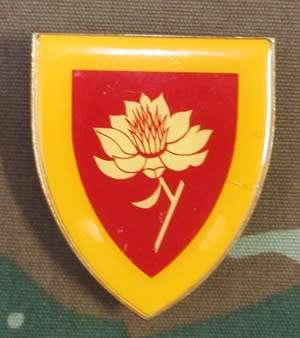 SADF - Woman's College  Shoulder Flash