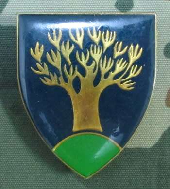 SADF - Keetmanshoop Commando  Shoulder Flash