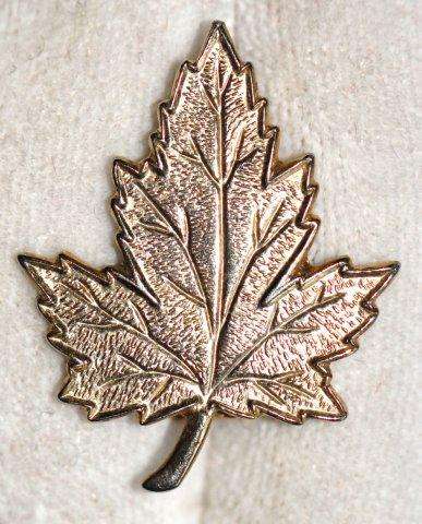 VINTAGE GOLDTONE BROOCH - MAPLE LEAF - INCISED