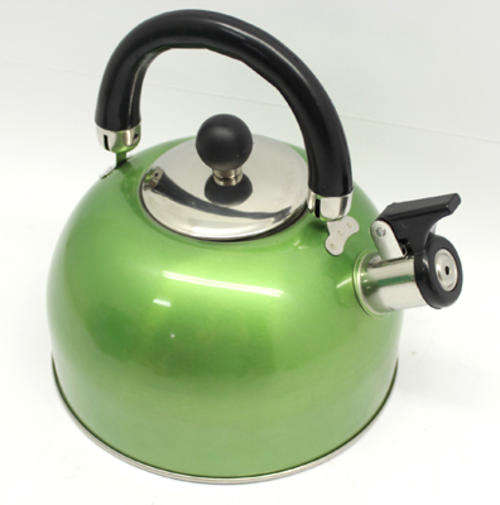 Stainless Steel Metallic Green Whistling Kettle (3 Up for Grabs!!!)