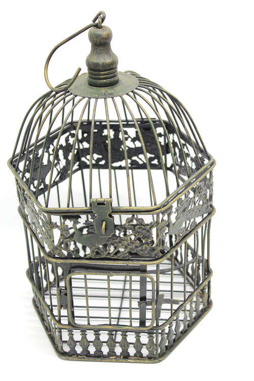 Decorative Brass Look Bird Cage