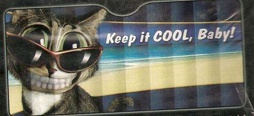 Front Car Sunshade