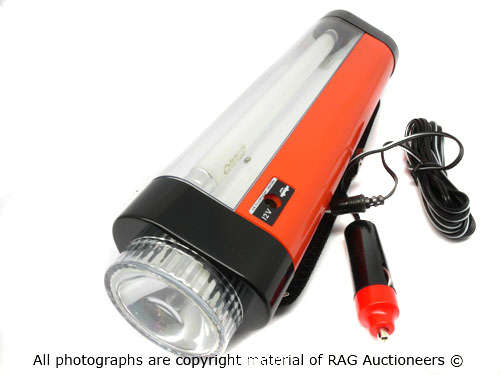 Magnificent Boy Flourescent Lantern