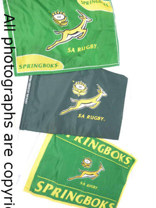 Springbok Rugby Small Flag Set (Includes 3 flags on poles)