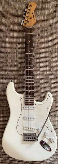 Ritmuller Electric Guitar: Never used: Bought at close down auction