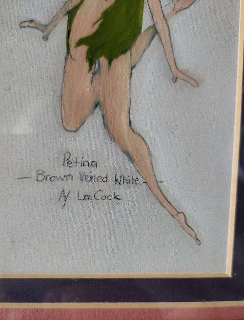Gorgeous La Cock: Well framed