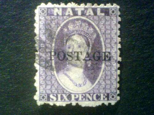 Natal Challon Head SACC 82 fine Used
