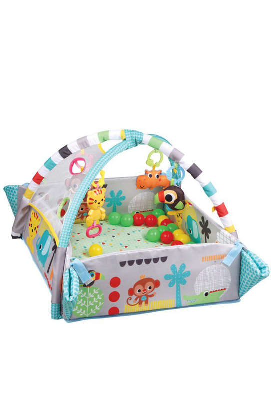 5 in 1 Activity Gym & Ball Pit