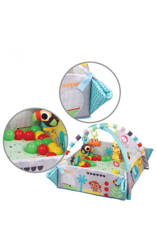 5 in 1 Activity Gym & Ball Pit