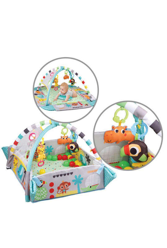 5 in 1 Activity Gym & Ball Pit