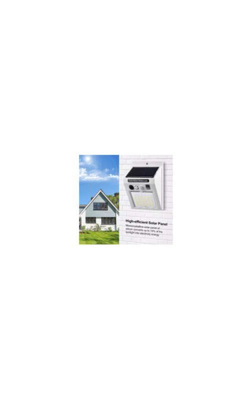 Solar Motion Sensor Light with Alarm