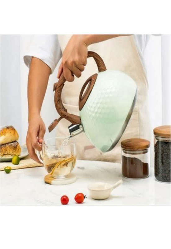 2.8L Ceramic SS Kettle