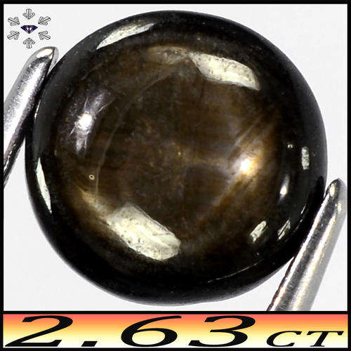 2.58ct Unheated Black 6-Ray Star Sapphire - Opaque Chanthaburi Round Cushion Cabochon