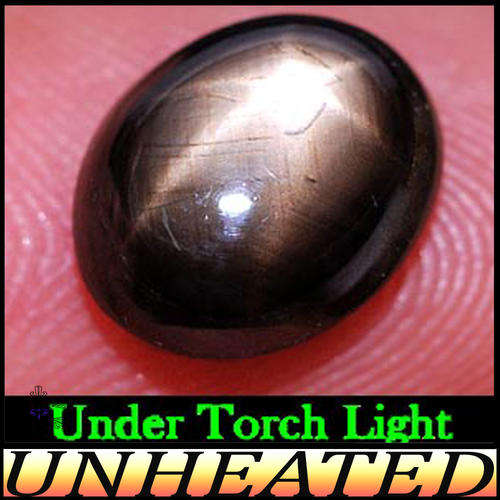 4.07ct Golden Brown Star Sapphire - Thailand Opaque Six Ray Cabochon Oval