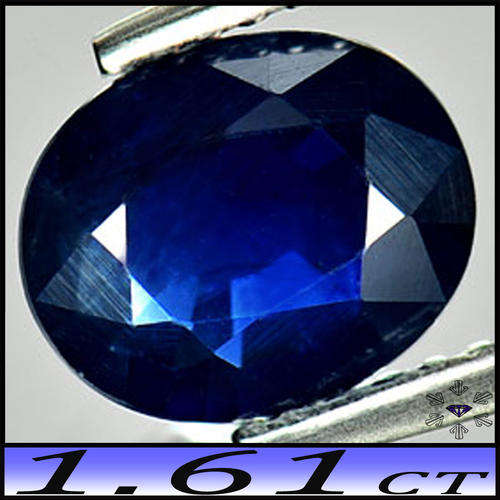 1.61ct Intense Deep Blue Sapphire Gem - SI - Tanzania Modern Fancy Oval (Gentle Heat)
