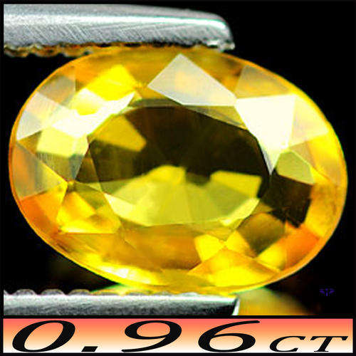 0.96ct Natural Gem Intense Yellow Sapphire - VS - Bangkaja Diamond Facet Oval (Gentle Heat)