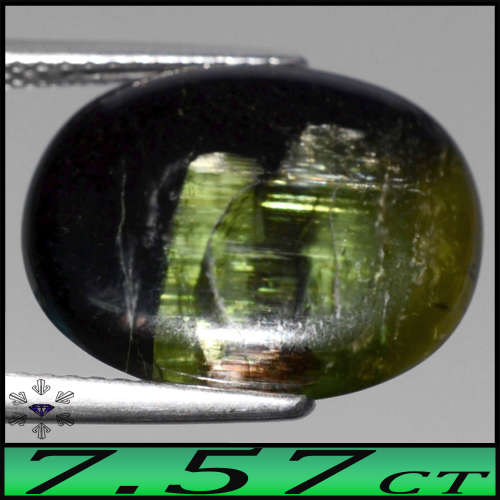 7.57ct Forest Green Mozambique Tourmaline - Natural Semi-Translucent Oval Cabochon
