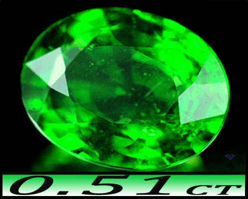 0.51ct Gem Vivid Green Tsavorite Garnet - VS - Natural Unheated Tanzania Oval