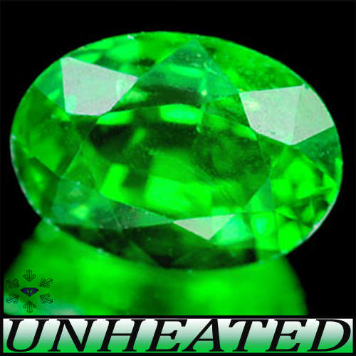 0.63ct Vary Rare Tsavorite Garnet - SI - Natural Intense Green Oval Gem