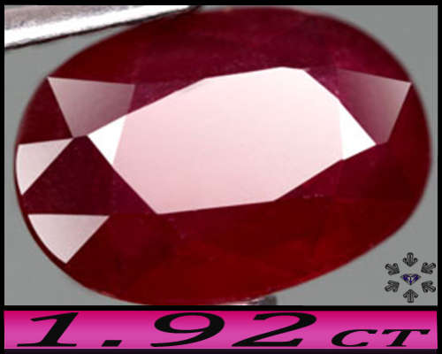 1.92ct Vivid Blood Red Natural Ruby - SI - Cabo Delgado Oval Gem (Teated)