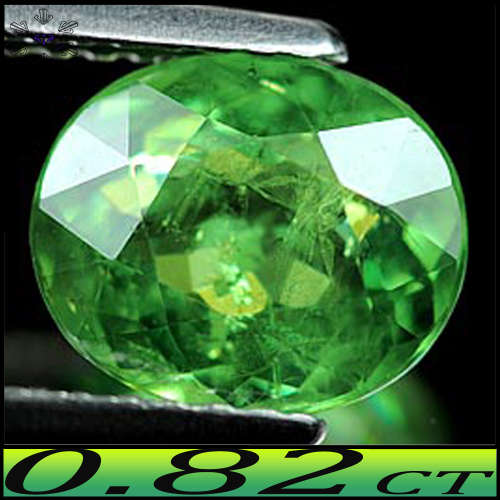 0.82ct Natural Untreated Gem Demantoid Garnet - SI - Slight Yellowish Deep Green Madagascan Oval
