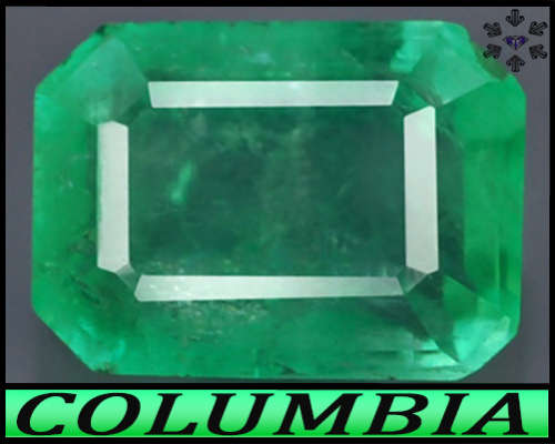 0.82ct Medium Green Columbian Emerald - SI - Natural Stepped Octagon (Cedar Oil)