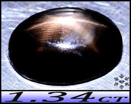 1.34ct Natural Unheated Star Sapphire Gem - Golden 6-Rays Brown Opaque Oval Cabochon