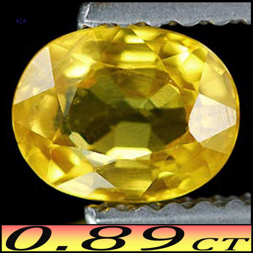 0.89ct Bangkaja Bright Yellow Sapphire Gem - VS - Natural Brilliant Oval (Heat Only)