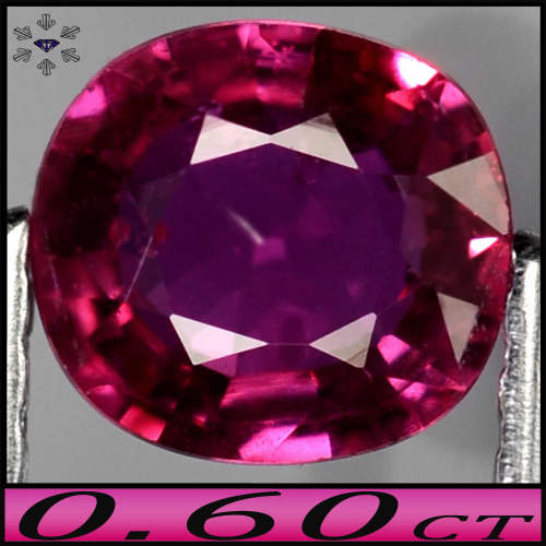 0.60ct Certified Unheated Purplish Red Ruby - SI - Natural Classic Winza Cushion