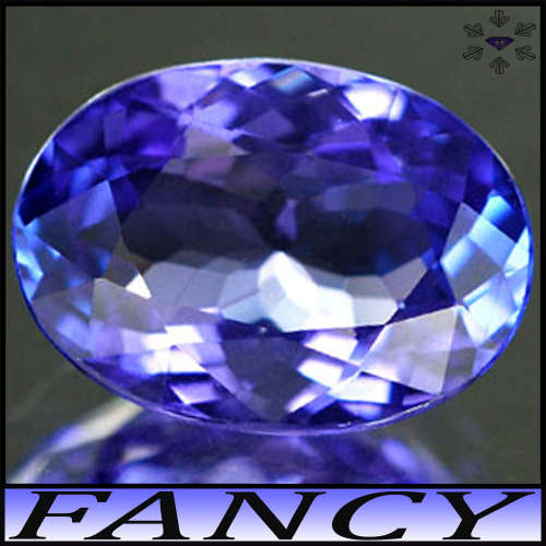 0.76ct Arusha Violet Intense Blue Tanzanite - VVS - Fancy Modern Facet Oval Gem