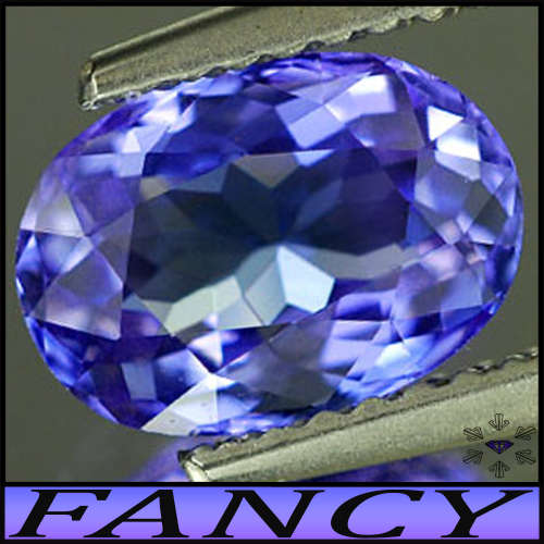 0.73ct Fancy Deep Violet Blue Tanzanite - VVS - Arusha Mix Facet Oval Gem