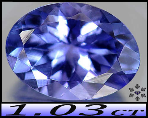 1.03ct Arusha Intense Blue Violet Tanzanite - VVS - Tanzania Natural Modern Oval Gem