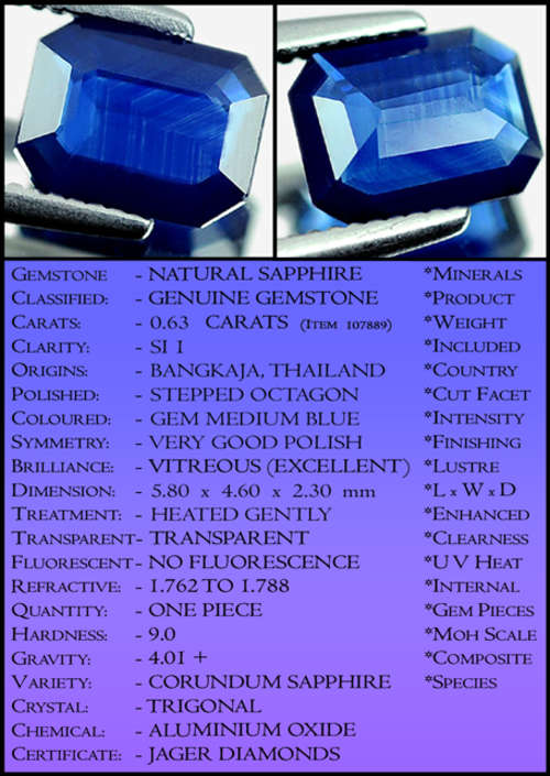 SAPPHIRE CERTIFIABLE INVESTMENTS 