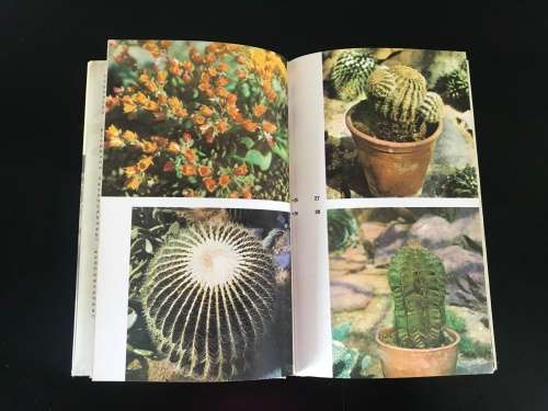 Cacti and Other Succulents - Lieut-General Sir Oliver Leese - AUTOGRAPHED